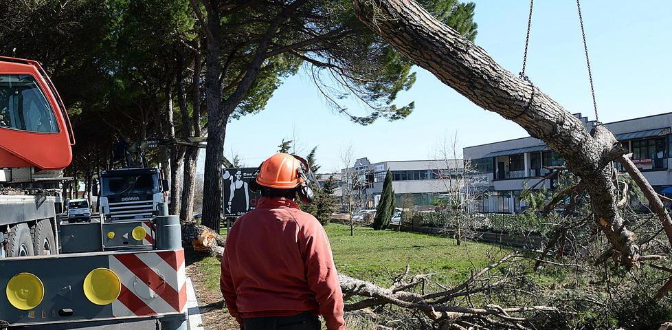 Vicarese, si lavora per riaprire la strada già da domani 