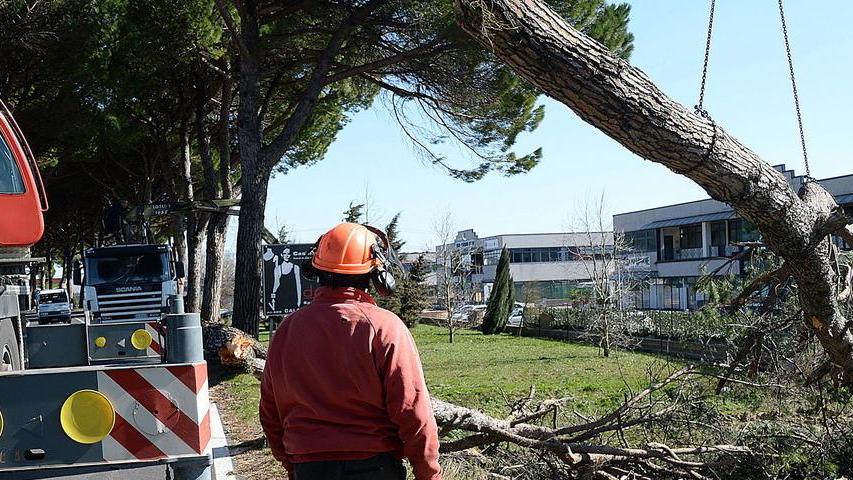 Vicarese, si lavora per riaprire la strada già da domani