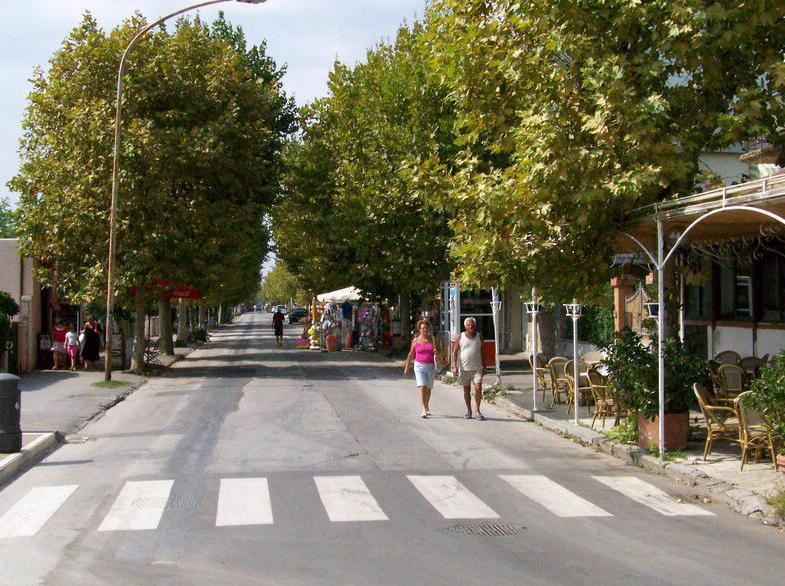 Pineta e duna più curate Spesa da 230.000 euro 