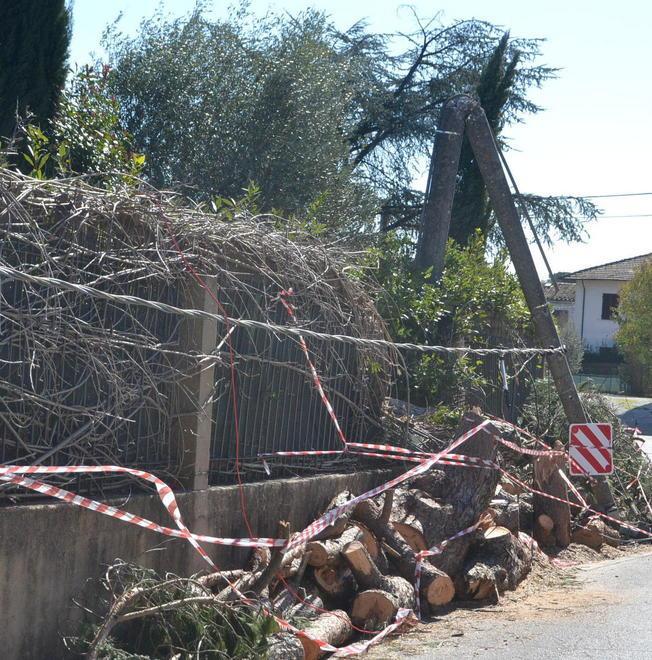 La dichiarazione dei danni si fa online 