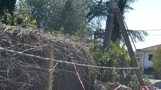 La dichiarazione dei danni si fa online