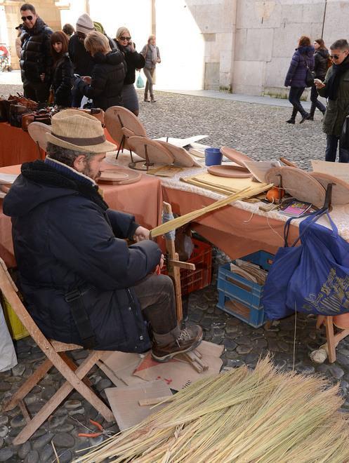 Biologico, in piazza abiti fatti con canapa e piante mangiasmog 