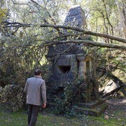 Un albero caduto sulle opere d'arte nella Fattoria di Celle