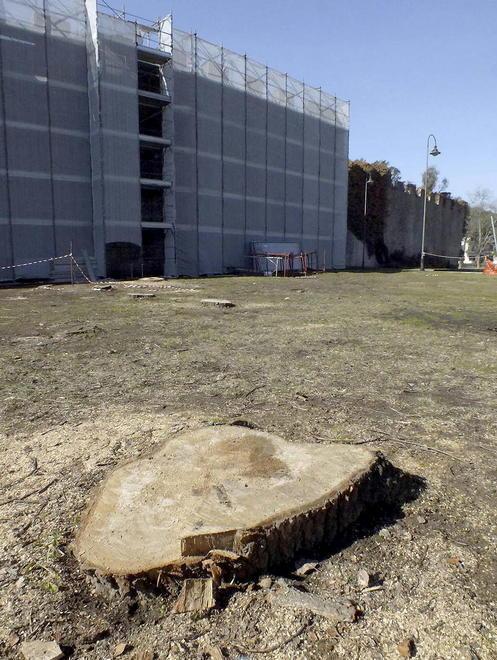 «Via Veneto era meglio prima con gli alberi» 