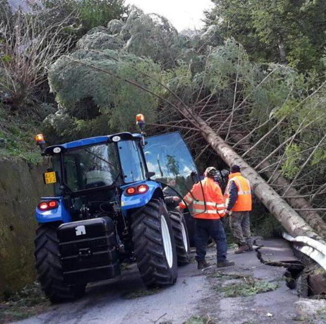 Ordinanza a Stazzema: vietato avventurarsi lungo i sentieri 