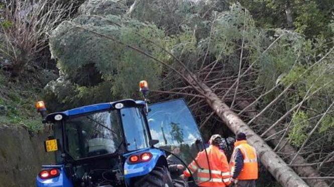Ordinanza a Stazzema: vietato avventurarsi lungo i sentieri