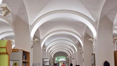 Biblioteche, il boom dei prestiti