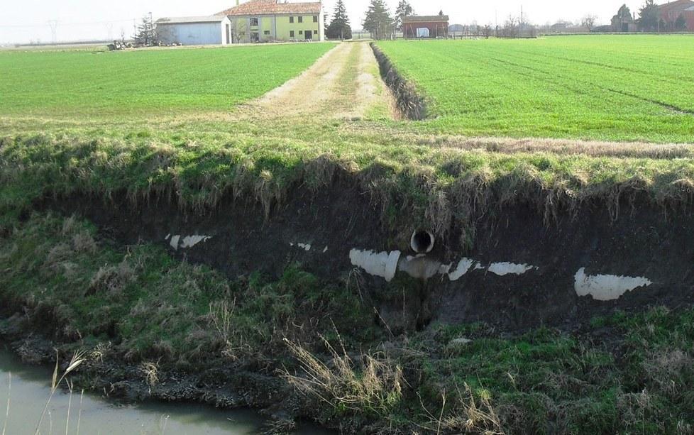 Fossa Marina, le sponde sono minate dalle nutrie 