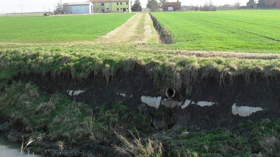 Fossa Marina, le sponde sono minate dalle nutrie