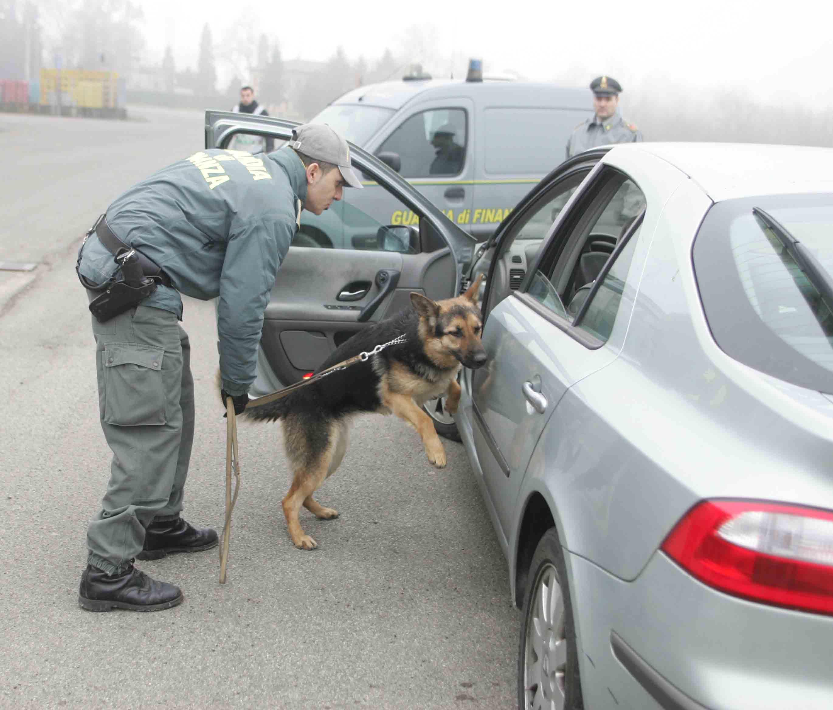 Cocaina e marijuana, arrestata banda di albanesi