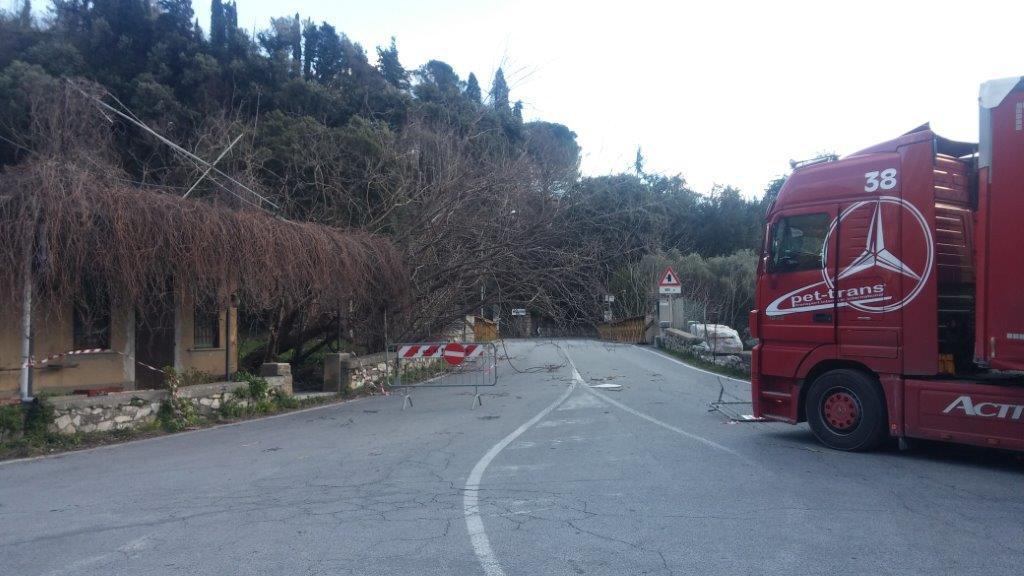 Una strada chiusa per il maltempo a Stazzema