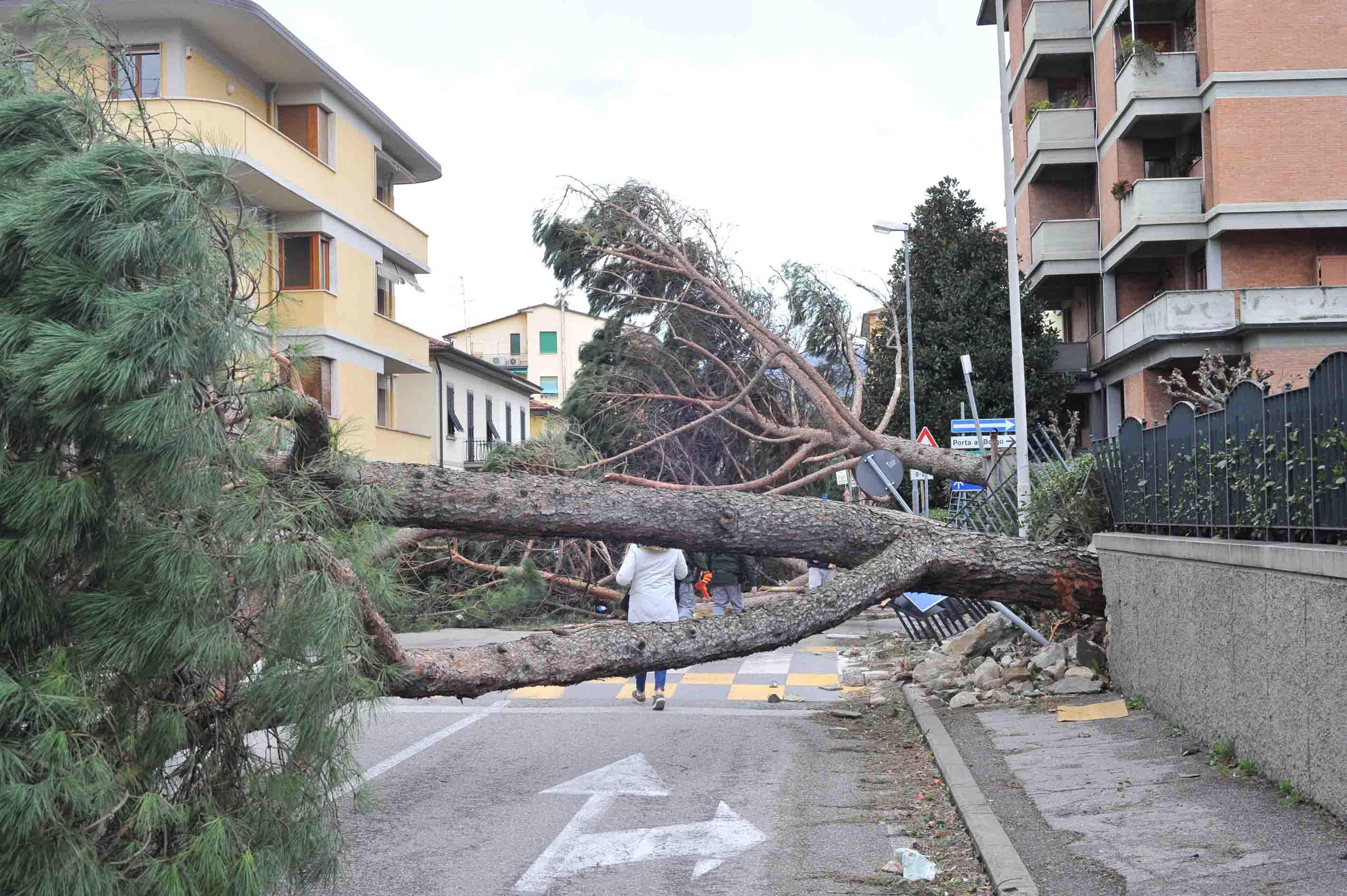 Centinaia di alunni costretti a traslocare 