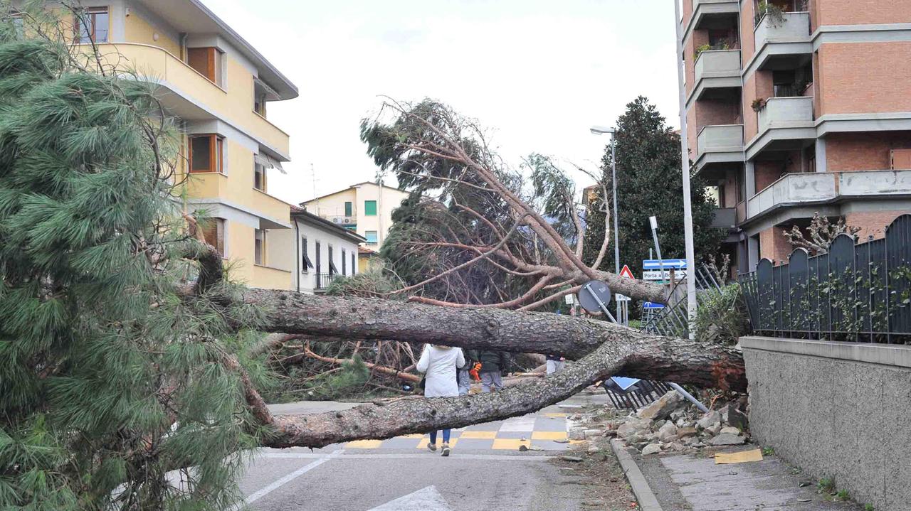 Centinaia di alunni costretti a traslocare