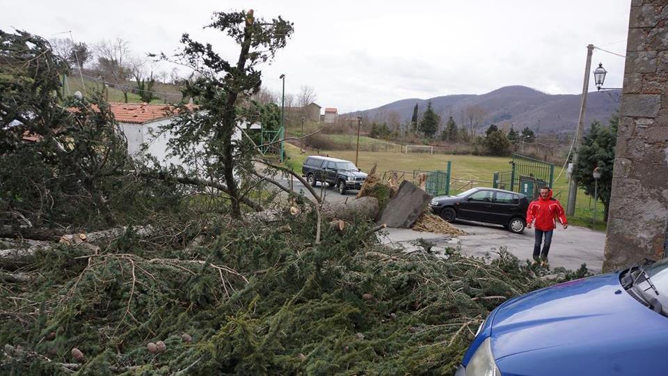 Sassofortino, strage di alberi e piante