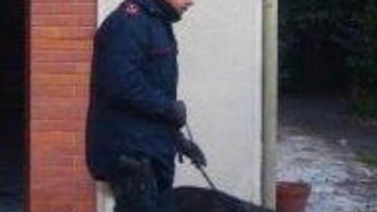 Colpo al supermarket della droga