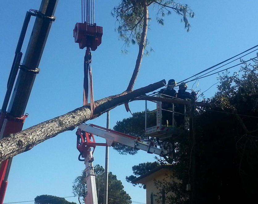 Enel al lavoro casa per casa Pezzi di linea sono distrutti 