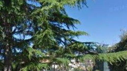 Un parcheggio da usare per eventi