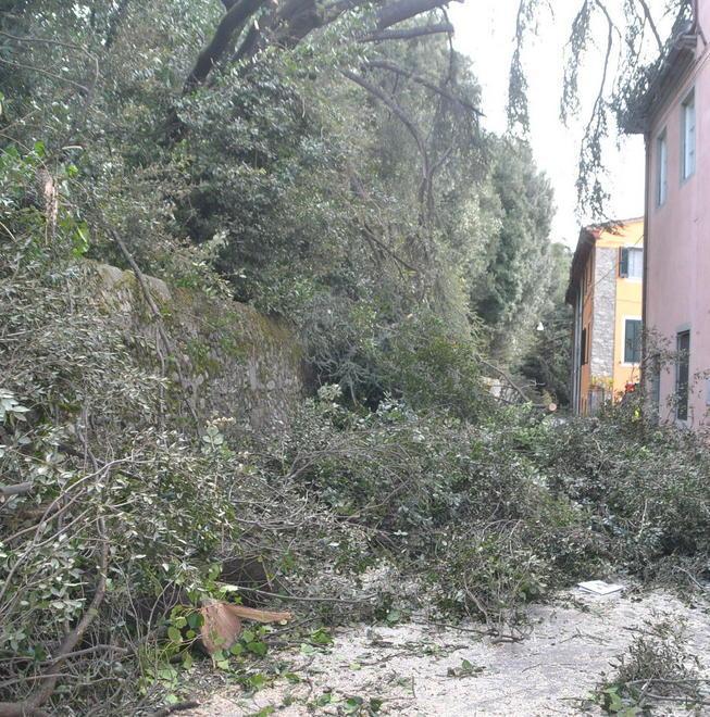 Riaperto il cimitero nuovo di Marlia