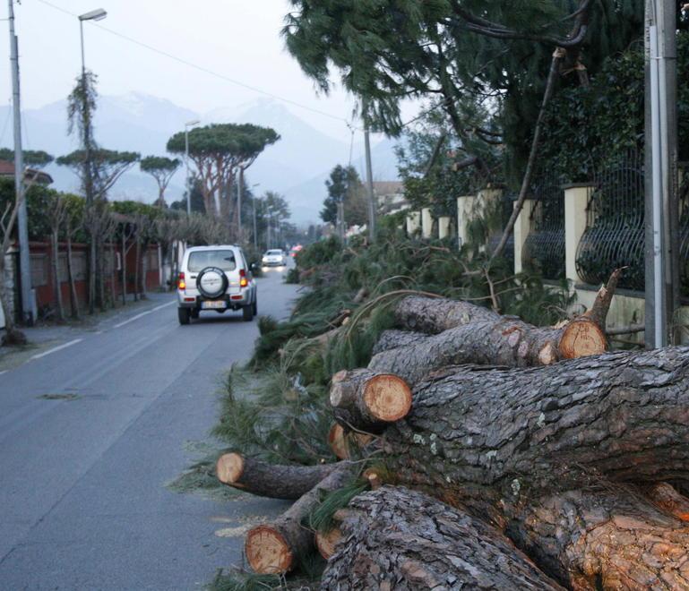 Pietrasanta: ancora caos nelle scuole per la riapertura 