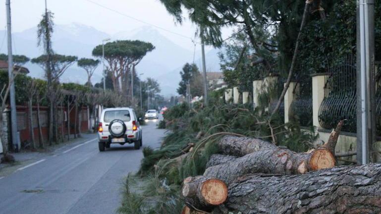 Pietrasanta: ancora caos nelle scuole per la riapertura
