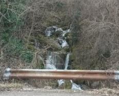 Sversamento di liquami nel torrente: aperte indagini