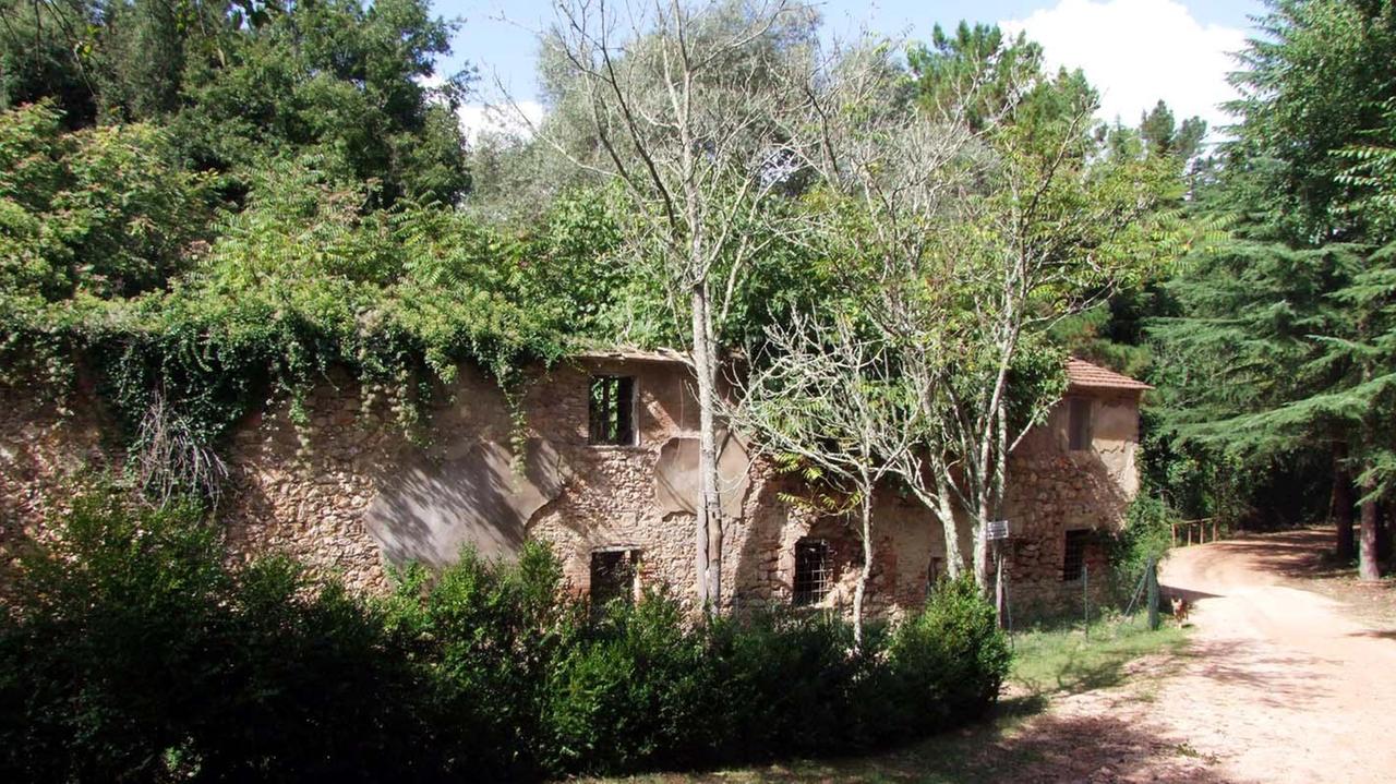 Uno scorcio del Parco di Montioni (foto Paolo Barlettani)