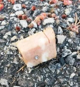 Ancora chiodi in würstel e mortadella 