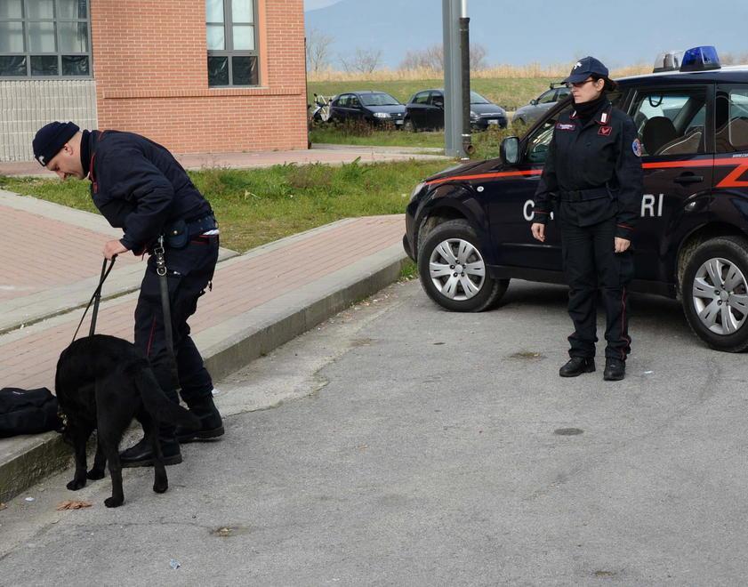 Controlli al Niccolini con i cani antidroga 