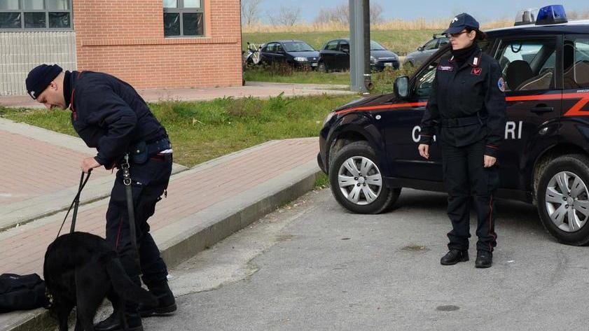 Controlli al Niccolini con i cani antidroga