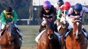 Ippica: spicca il premio Panathlon Club