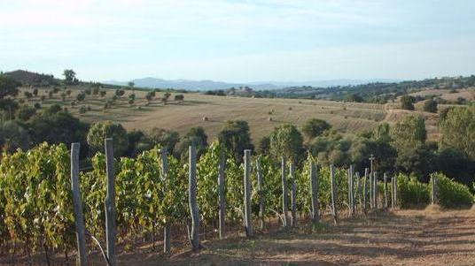 Bastianich, vignaiolo in Maremma
