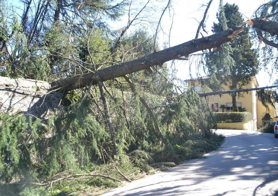 Colpito dalla tettoia: muore dopo l’agonia 