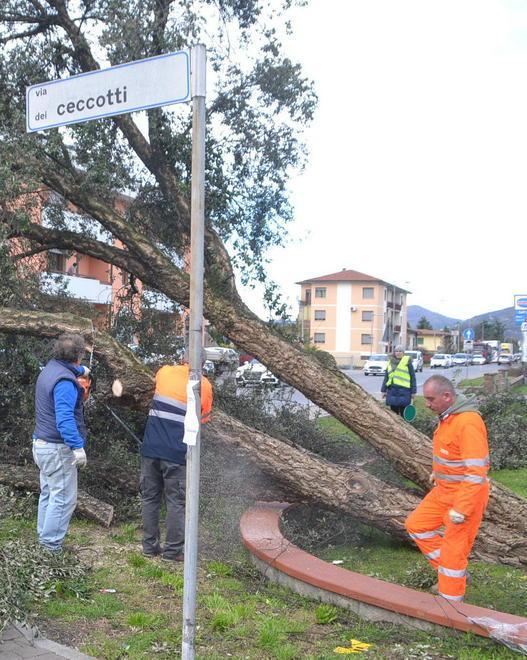 Si possono segnalare i danni arrecati dal vento