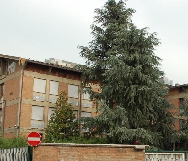 Formaldeide a Villa Fiorita Gli uffici si sposteranno 
