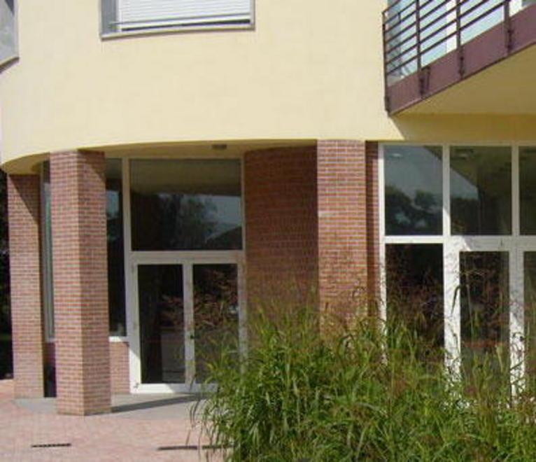 Il direttore del Parco ha rassegnato le dimissioni 