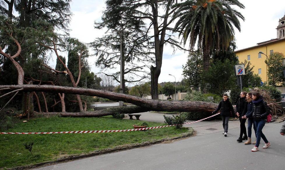 Danni per il vento, denunce entro marzo