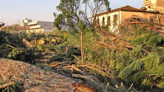 Oltre 200 milioni di danni dalla tempesta del 5 marzo