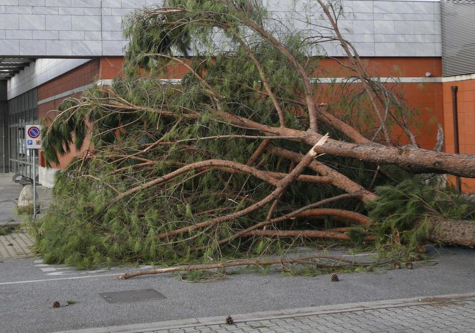 Sono novemila a Pietrasanta gli edifici danneggiati 