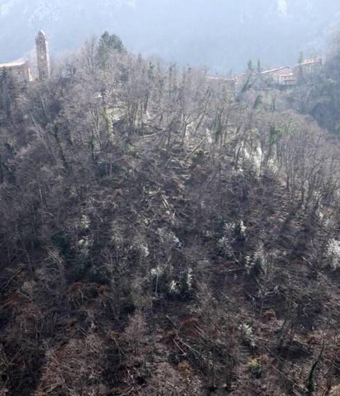 Incubo frane in Alta Versilia 