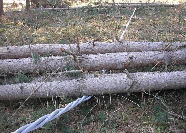 Gli sciacalli del black-out rubano gasolio e cavi di rame 