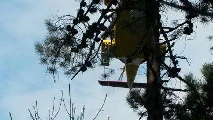 Biker salvato dall’elicottero sui monti