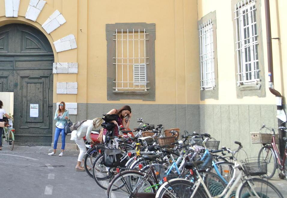 Una gang ruba le bici in centro storico 