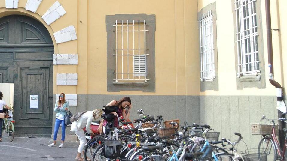 Una gang ruba le bici in centro storico