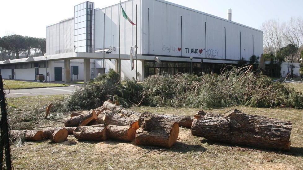 Il Miccio si farà al palasport