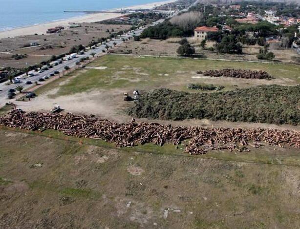 Task force a Forte dei Marmi per rimuovere il legname 