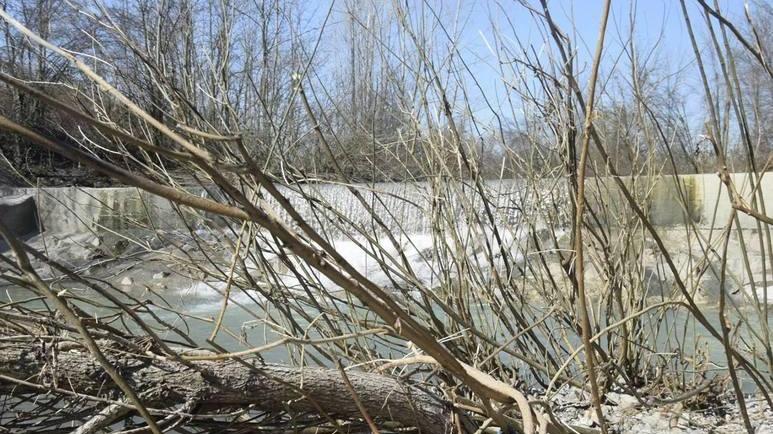 «Argini del Samoggia, incuria e abbandono»
