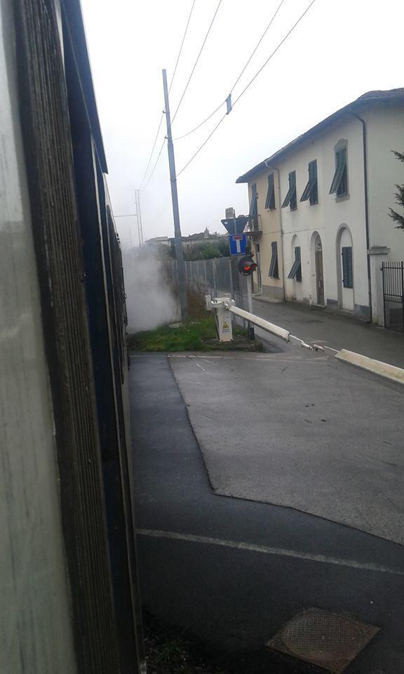 Treno regionale 6970 fermo vicino Lucca (Foto Marta Bruschini - Facebook)
