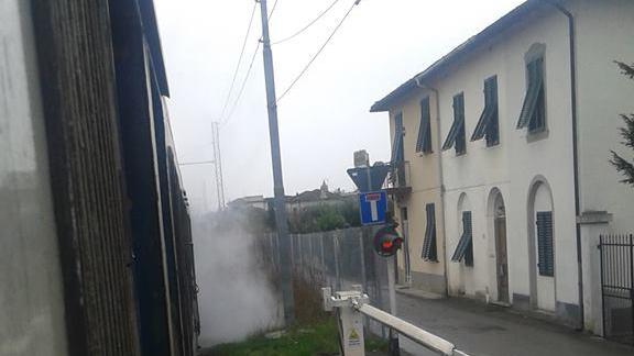 Treno regionale 6970 fermo vicino Lucca (Foto Marta Bruschini - Facebook)