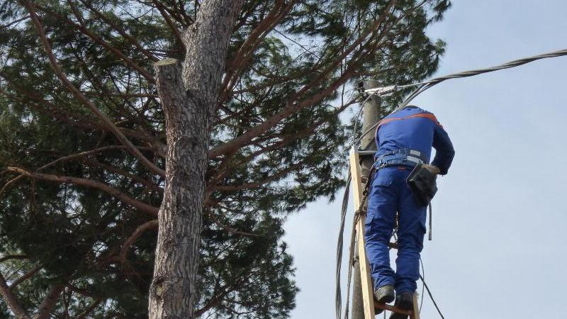 Un tecnico Enel al lavoro su un palo della luce