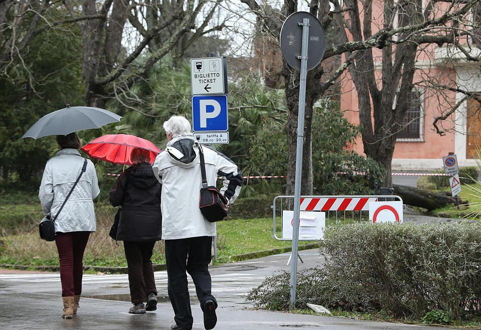 Corsa contro il tempo per riaprire la pineta 